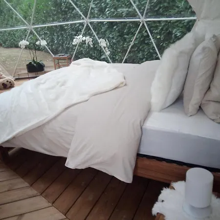 Le Dome Spa